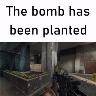 black ops link
