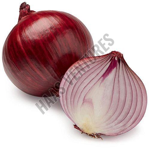 .onion link