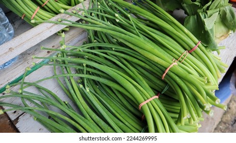 dark market onion